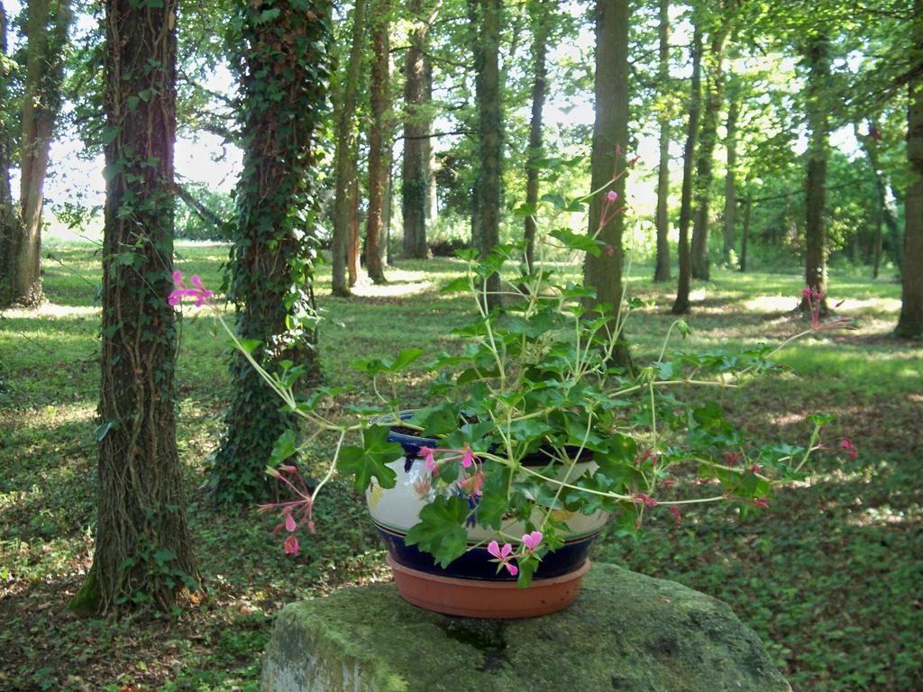 Bed and Breakfast Le Pre Karvain Couddes Экстерьер фото